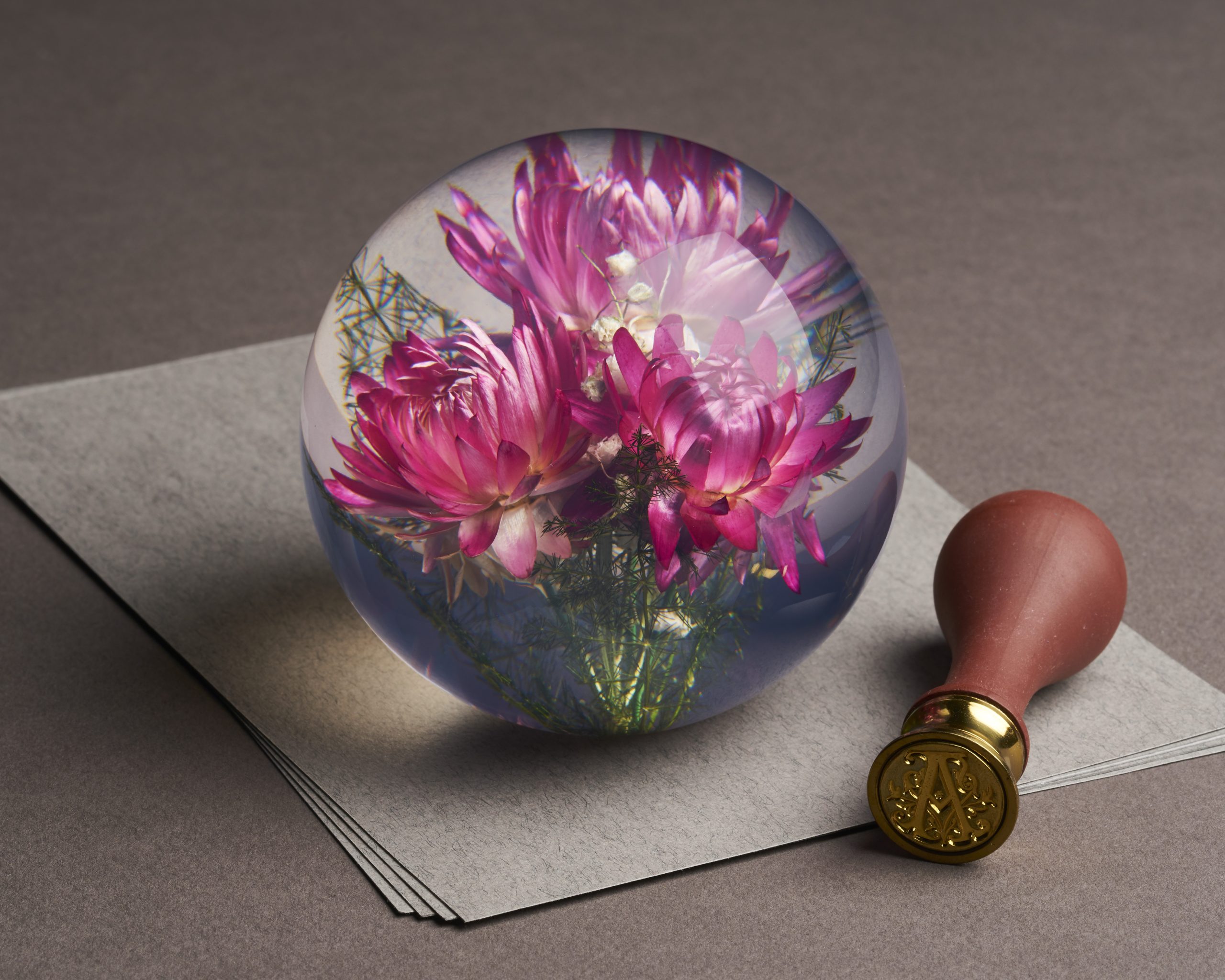 Helichrysum Pink (small) Gallery Image 1